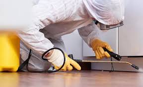 Emergency Pest Control Services in Artondale, WA